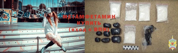 трава Корсаков