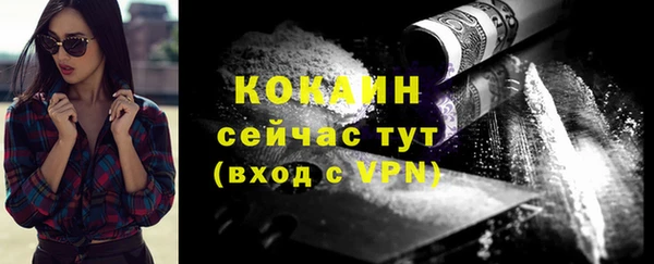 стаф Коряжма