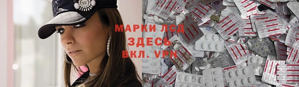 трава Корсаков
