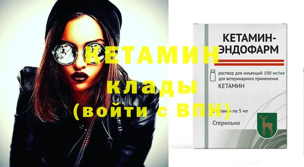 трава Корсаков