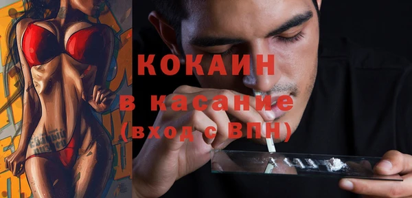 трава Корсаков