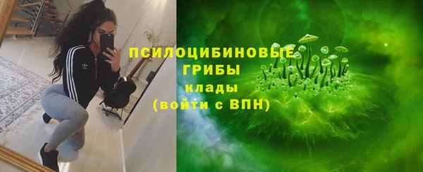 стаф Коряжма