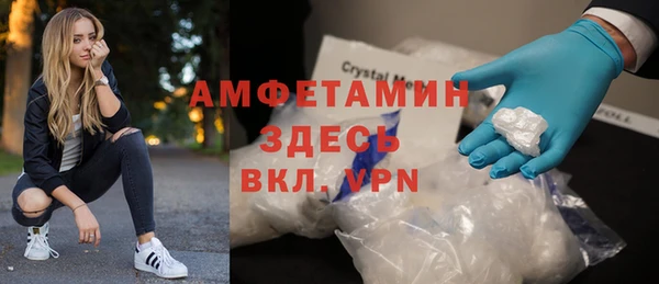 трава Корсаков