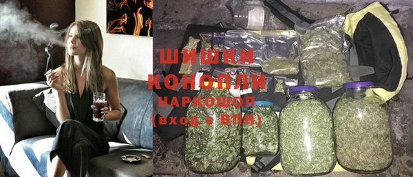 стаф Коряжма