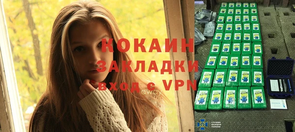 трава Корсаков