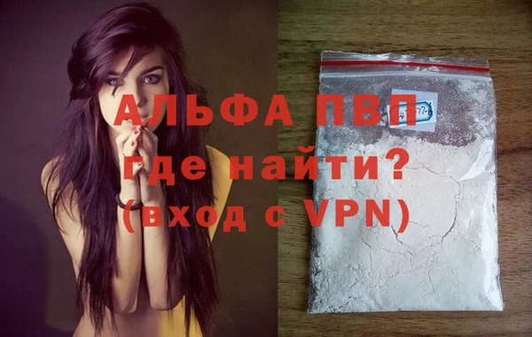трава Корсаков
