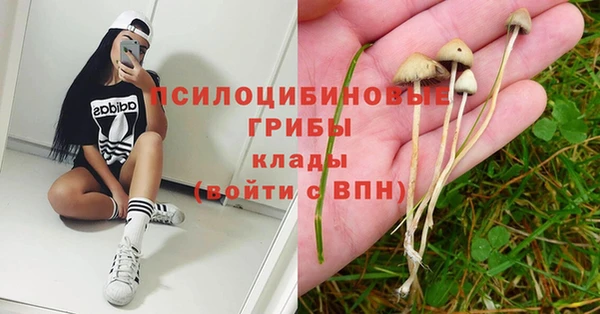метадон Гусиноозёрск