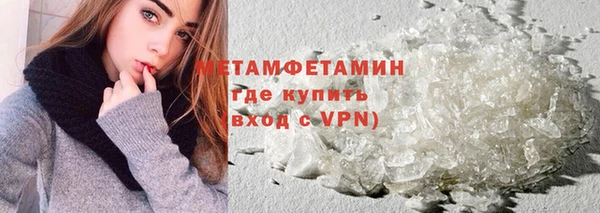 трава Корсаков