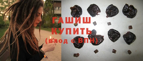 трава Корсаков