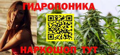 ПСИЛОЦИБИНОВЫЕ ГРИБЫ Кандалакша