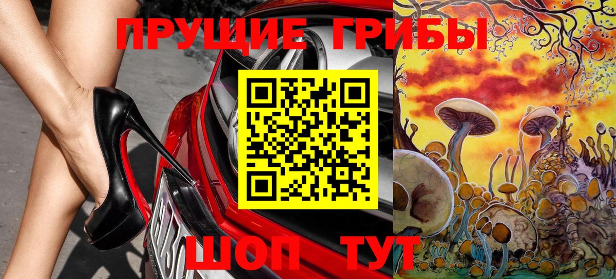 Галлюциногенные грибы Cubensis  Псилоцибиновые грибы прущие грибы  Вологда 