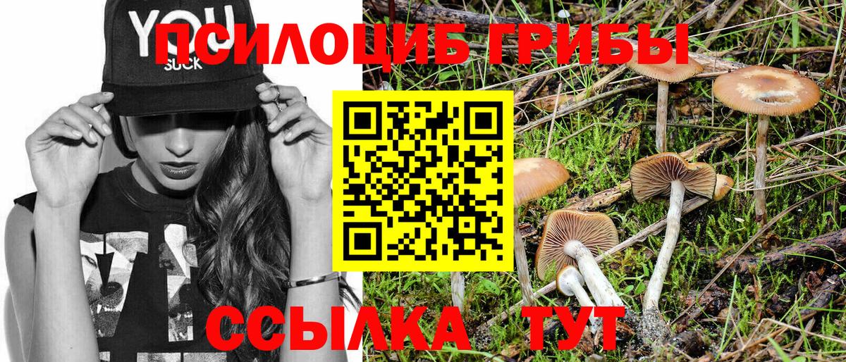 Меф кристаллы  Вологда  Бошки Шишки  Alpha-PVP СК кристаллы  NBOMe  КОКАИН  Вход с VPN  ГАШ 