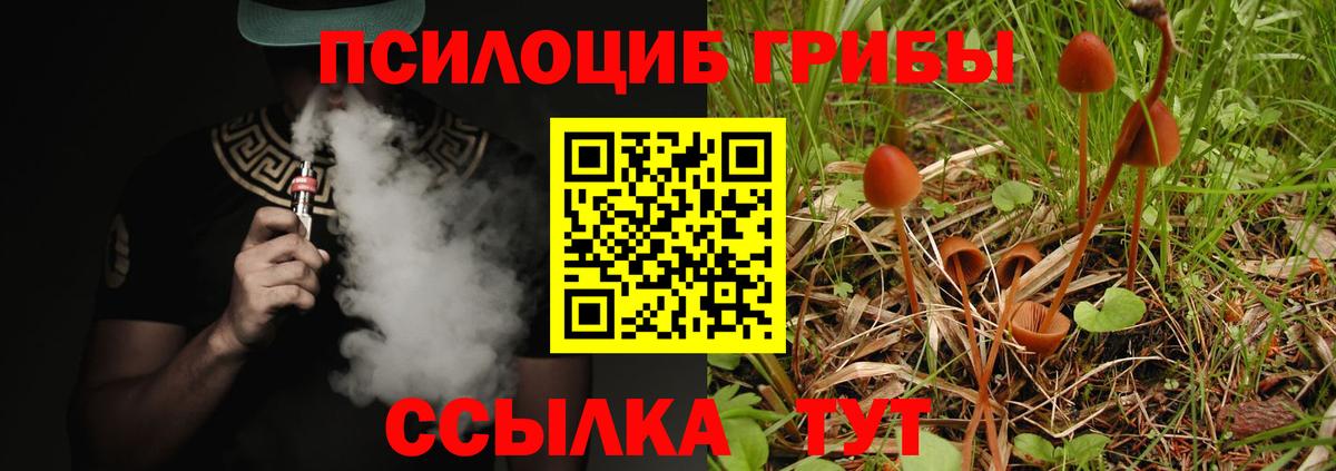 Псилоцибиновые грибы ЛСД Вологда