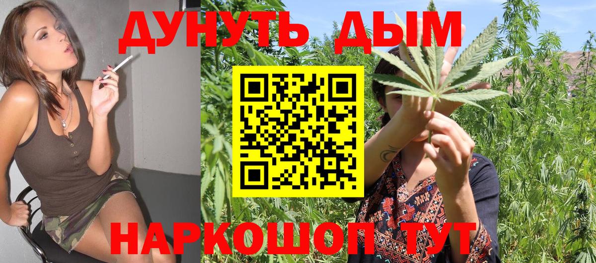 Конопля план  Вологда  Каннабис AK-47  Канабис марихуана 